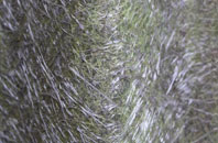 Ash Moor fibreglass roof work